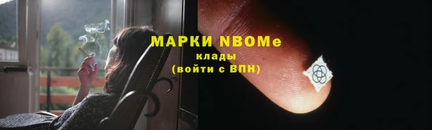 a pvp Алзамай