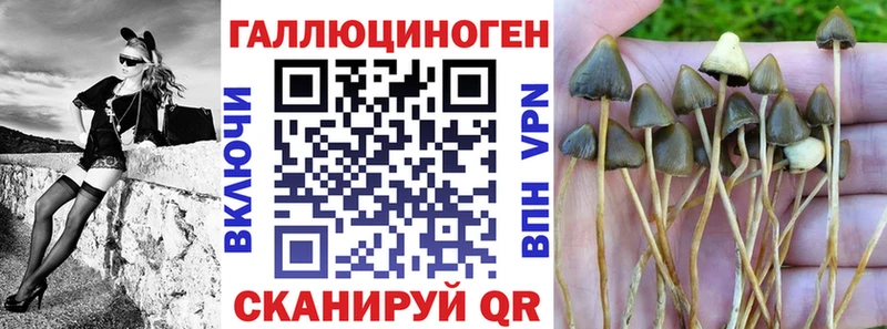 Галлюциногенные грибы мицелий  закладки  Шацк 